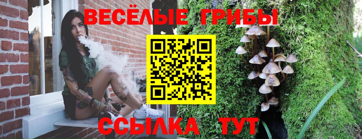 Псилоцибиновые грибы Psilocybine cubensis Крымск
