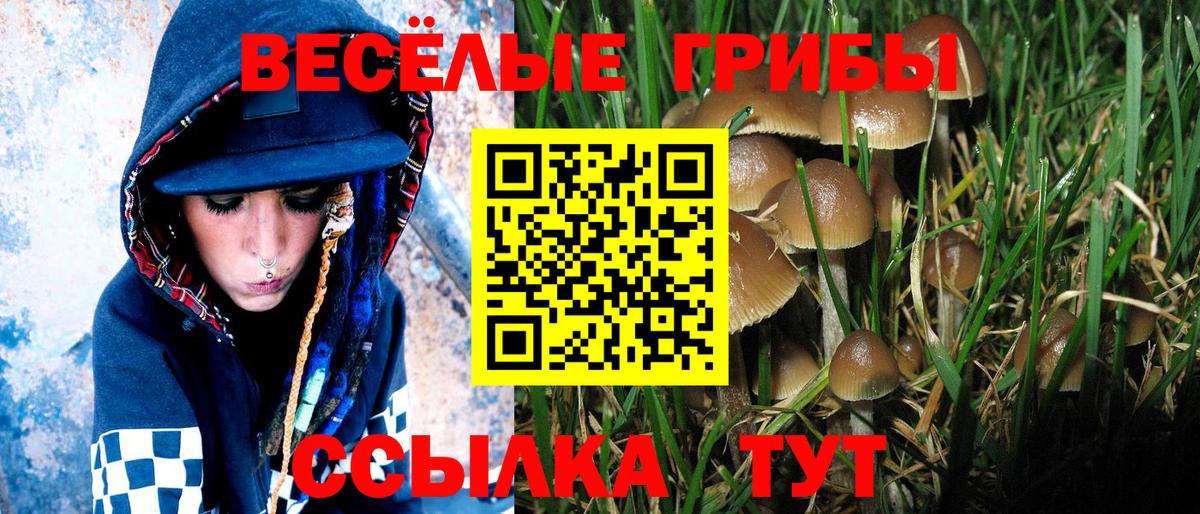 Галлюциногенные грибы MAGIC MUSHROOMS  Галлюциногенные грибы Psilocybine cubensis  Вход с VPN  Крымск 